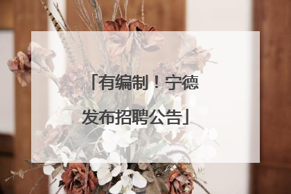 有编制！宁德发布招聘公告