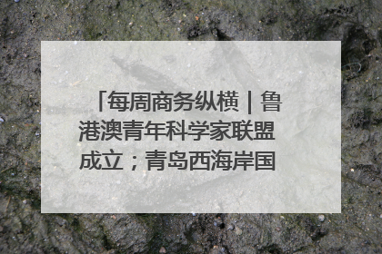 每周商务纵横｜鲁港澳青年科学家联盟成立；青岛西海岸国际能源自贸港启用