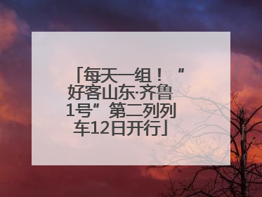 每天一组！“好客山东·齐鲁1号”第二列列车12日开行