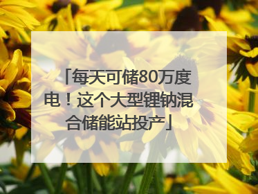 每天可储80万度电！这个大型锂钠混合储能站投产
