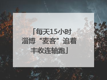 每天15小时 淄博“麦客”追着丰收连轴跑