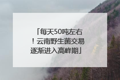每天50吨左右！云南野生菌交易逐渐进入高峰期