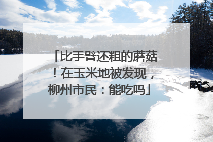 比手臂还粗的蘑菇！在玉米地被发现，柳州市民：能吃吗