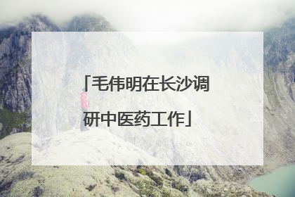 毛伟明在长沙调研中医药工作