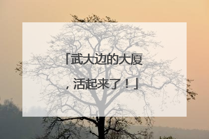 武大边的大厦，活起来了！