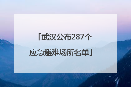 武汉公布287个应急避难场所名单