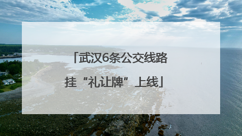 武汉6条公交线路挂“礼让牌”上线