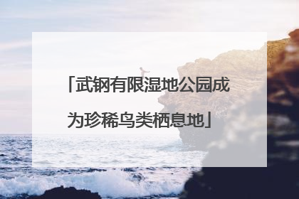 武钢有限湿地公园成为珍稀鸟类栖息地