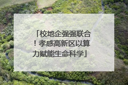 校地企强强联合！孝感高新区以算力赋能生命科学