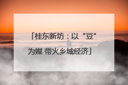 桂东新坊：以“豆”为媒 带火乡域经济