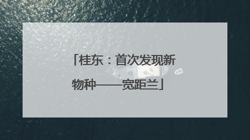 桂东：首次发现新物种——宽距兰