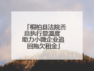 桐柏县法院善意执行显温度 助力小微企业追回拖欠租金