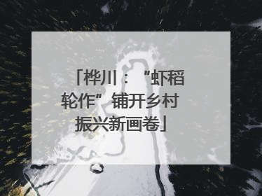 桦川：“虾稻轮作”铺开乡村振兴新画卷