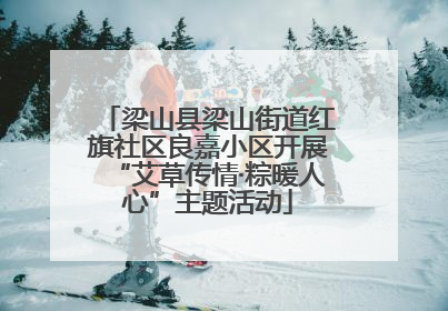 梁山县梁山街道红旗社区良嘉小区开展“艾草传情·粽暖人心”主题活动