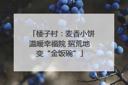 楼子村：麦香小饼温暖幸福院 撂荒地变“金饭碗”