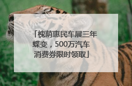 槐荫惠民车展三年蝶变，500万汽车消费券限时领取