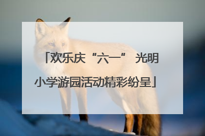 欢乐庆“六一” 光明小学游园活动精彩纷呈