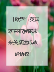 欧盟与英国就直布罗陀未来关系达成政治协议