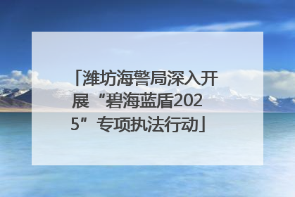 潍坊海警局深入开展“碧海蓝盾2025”专项执法行动