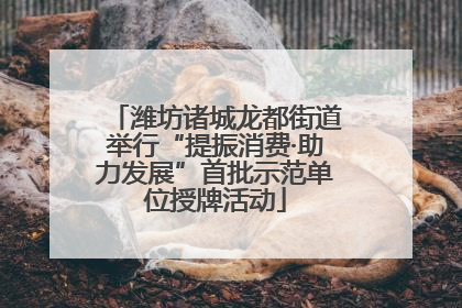 潍坊诸城龙都街道举行“提振消费·助力发展”首批示范单位授牌活动