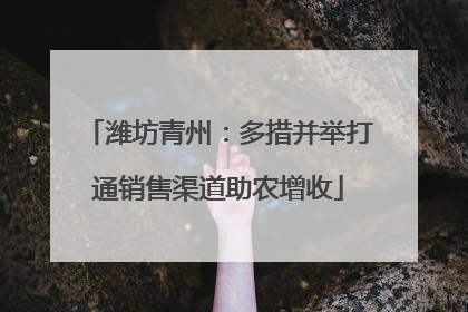 潍坊青州：多措并举打通销售渠道助农增收