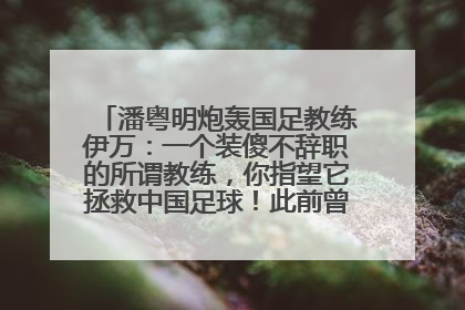 潘粤明炮轰国足教练伊万：一个装傻不辞职的所谓教练，你指望它拯救中国足球！此前曾多次发文评价国足
