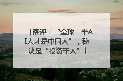 潮评丨“全球一半AI人才是中国人”，秘诀是“投资于人”