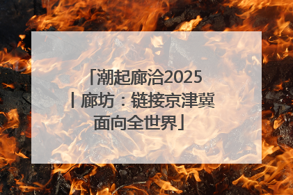 潮起廊洽2025丨廊坊：链接京津冀 面向全世界