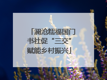 澜沧糯福国门书社促“三交”赋能乡村振兴