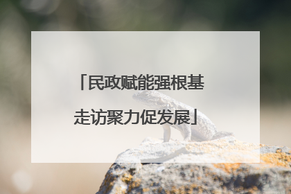 民政赋能强根基 走访聚力促发展