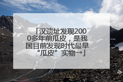 汉遗址发现2000多年前瓜皮，是我国目前发现时代最早“瓜皮”实物→