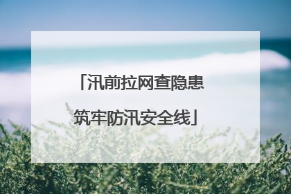 汛前拉网查隐患 筑牢防汛安全线