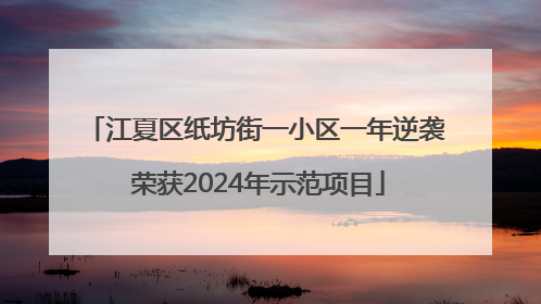 江夏区纸坊街一小区一年逆袭 荣获2024年示范项目