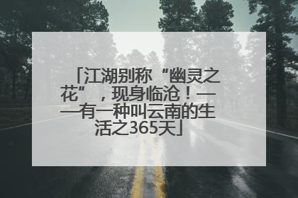 江湖别称“幽灵之花”，现身临沧！——有一种叫云南的生活之365天