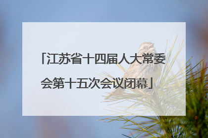 江苏省十四届人大常委会第十五次会议闭幕