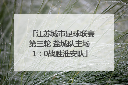 江苏城市足球联赛第三轮 盐城队主场1：0战胜淮安队