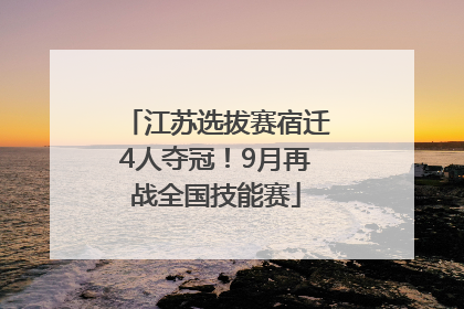 江苏选拔赛宿迁4人夺冠！9月再战全国技能赛