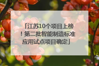 江苏10个项目上榜！第二批智能制造标准应用试点项目确定