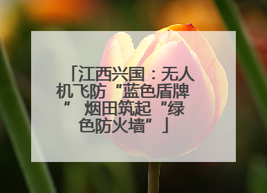 江西兴国：无人机飞防“蓝色盾牌” 烟田筑起“绿色防火墙”