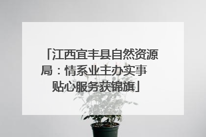 江西宜丰县自然资源局：情系业主办实事 贴心服务获锦旗