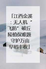 江西金溪：无人机“飞防”破丘陵植保难题 守护万亩早稻丰收