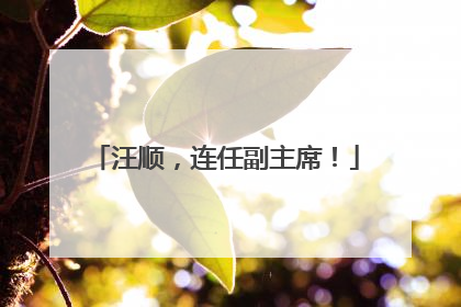 汪顺，连任副主席！