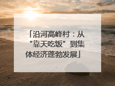 沿河高峰村：从“靠天吃饭”到集体经济蓬勃发展