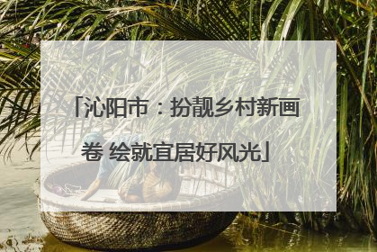 沁阳市：扮靓乡村新画卷 绘就宜居好风光