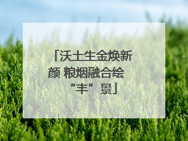 沃土生金焕新颜 粮烟融合绘“丰”景