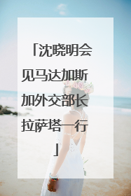 沈晓明会见马达加斯加外交部长拉萨塔一行