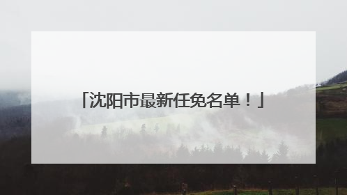 沈阳市最新任免名单！