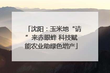 沈阳：玉米地“请”来赤眼蜂 科技赋能农业助绿色增产