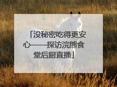 没秘密吃得更安心——探访浣熊食堂后厨直播