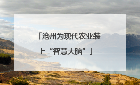 沧州为现代农业装上“智慧大脑”
